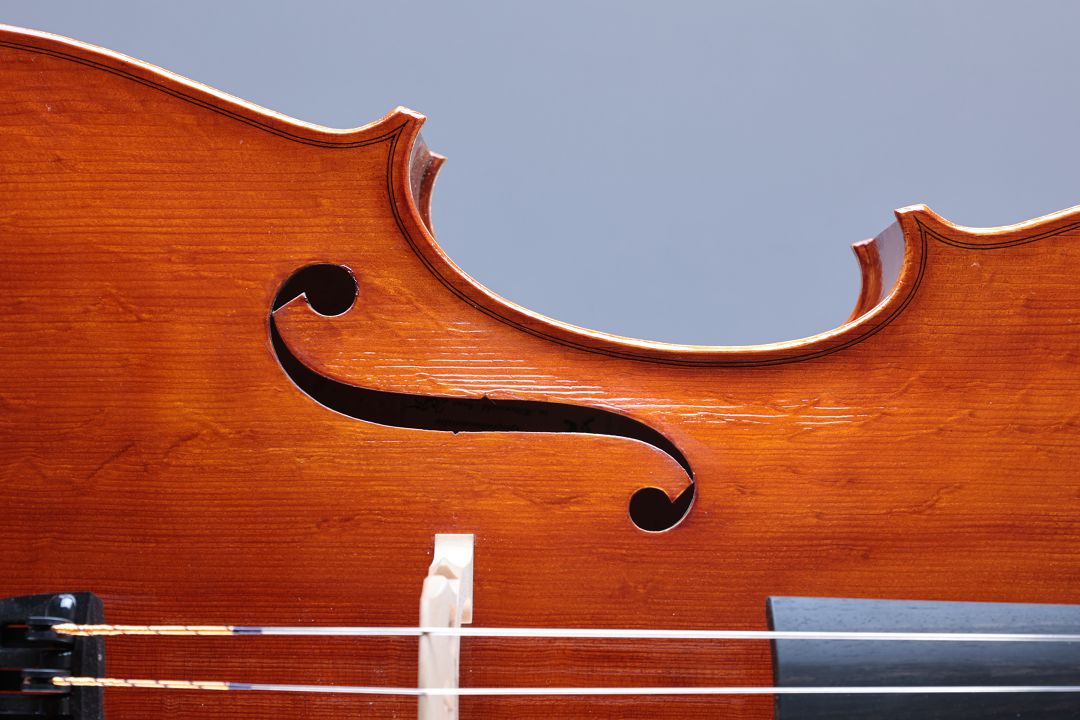 Leonhardt Rainer W. - Mittenwald Anno 2025 - Guadagnini - wild birds-eye - C-426